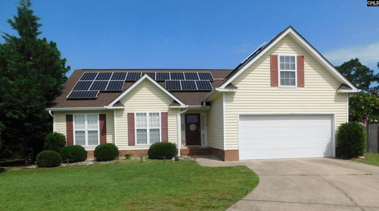 225 Stonebury Court - Photo 1