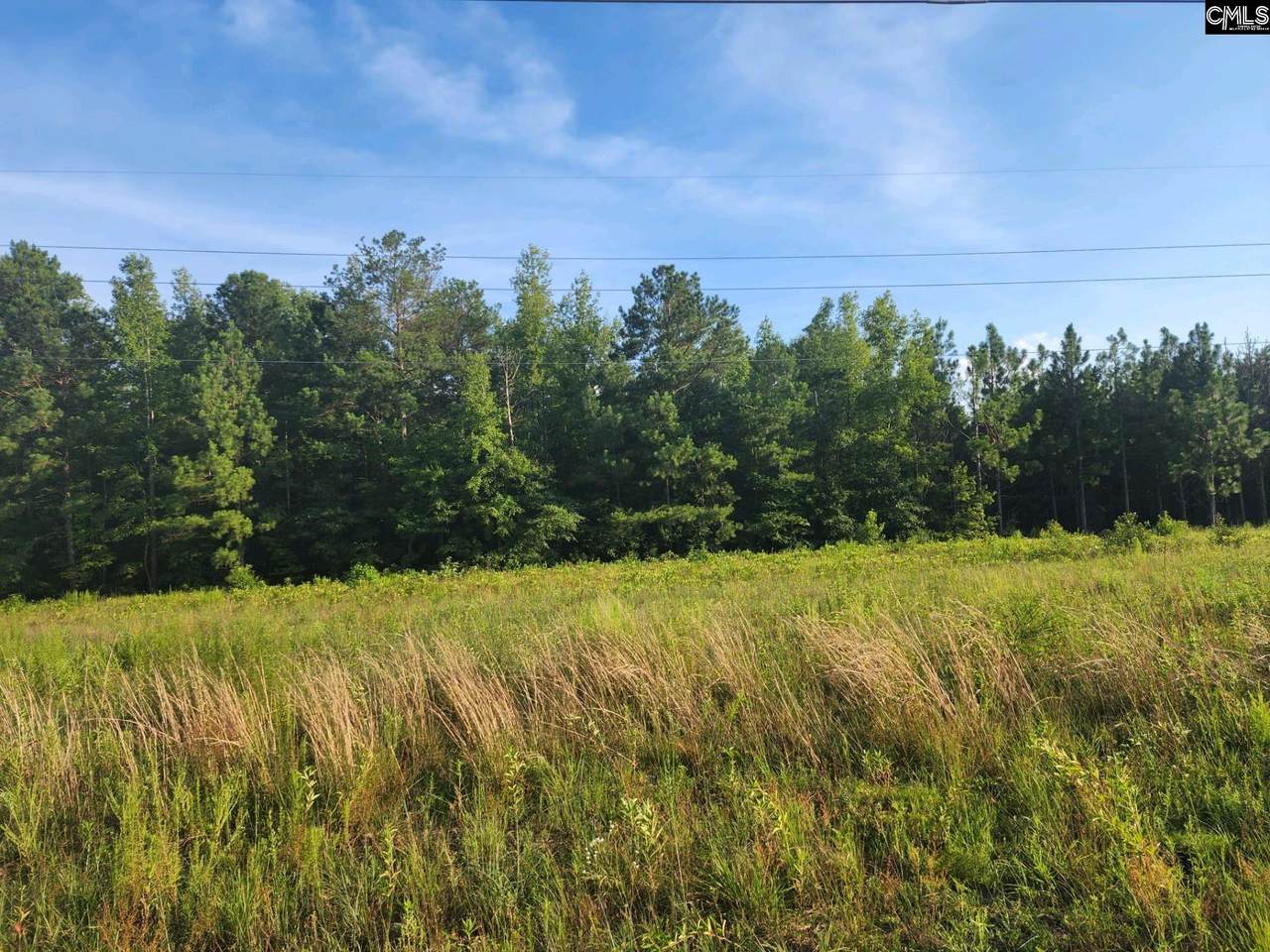 0 Center Road - Photo 1