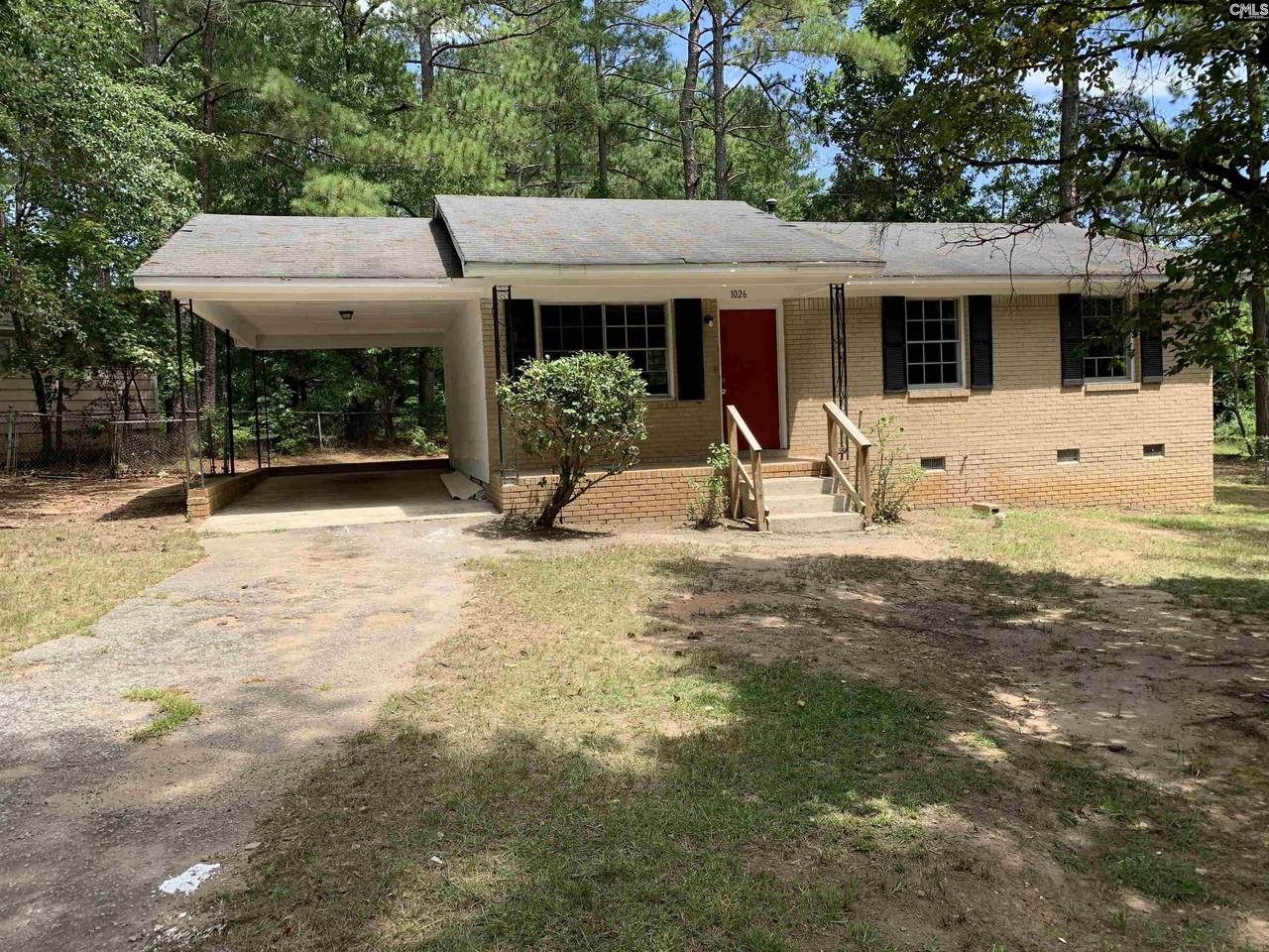 1026 Sandpiper Lane - Photo 1