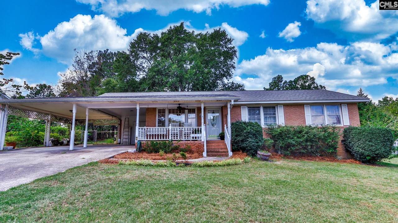 1032 Starview Drive - Photo 1