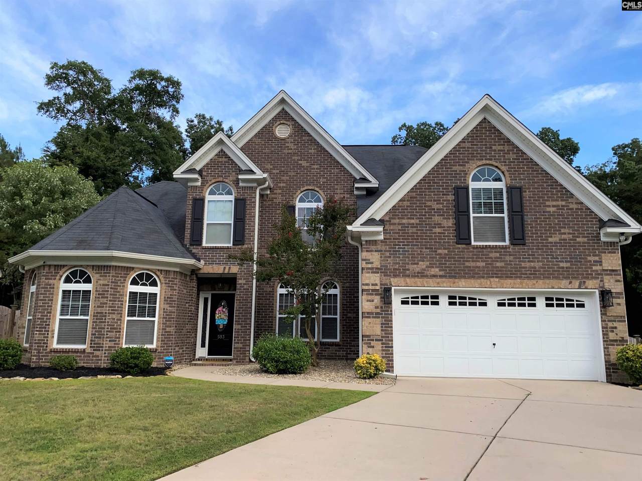593 Crawfish Lane - Photo 1