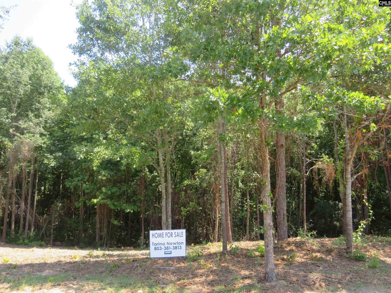 1177 Lake Shire Drive - Photo 1