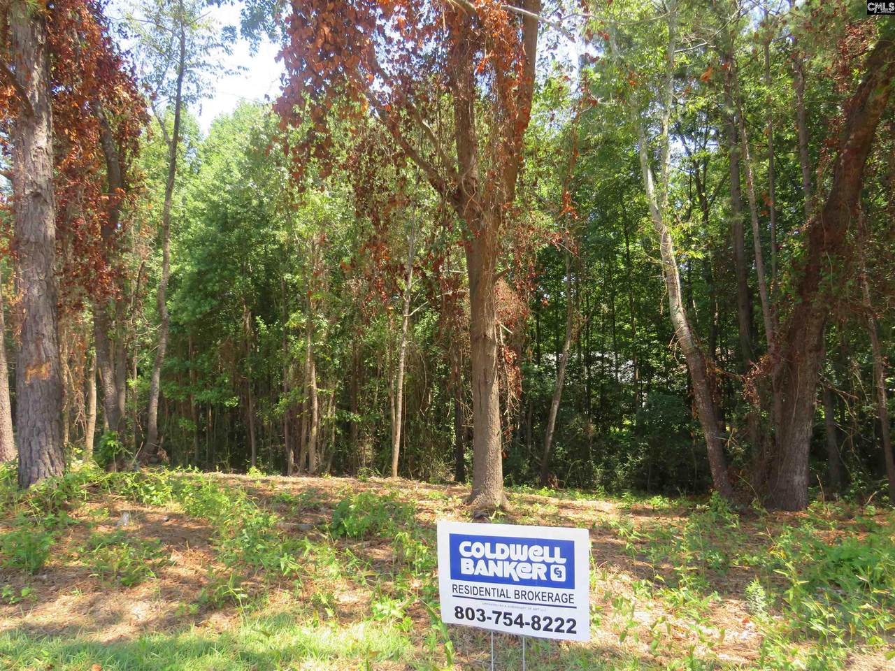 1179 Lake Shire Drive - Photo 1