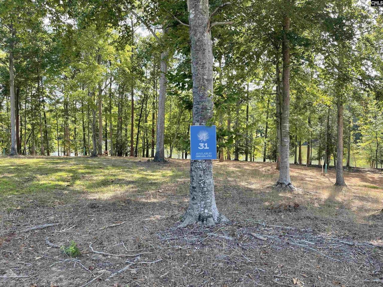 Lot 31 Shoreview Drive - Photo 1