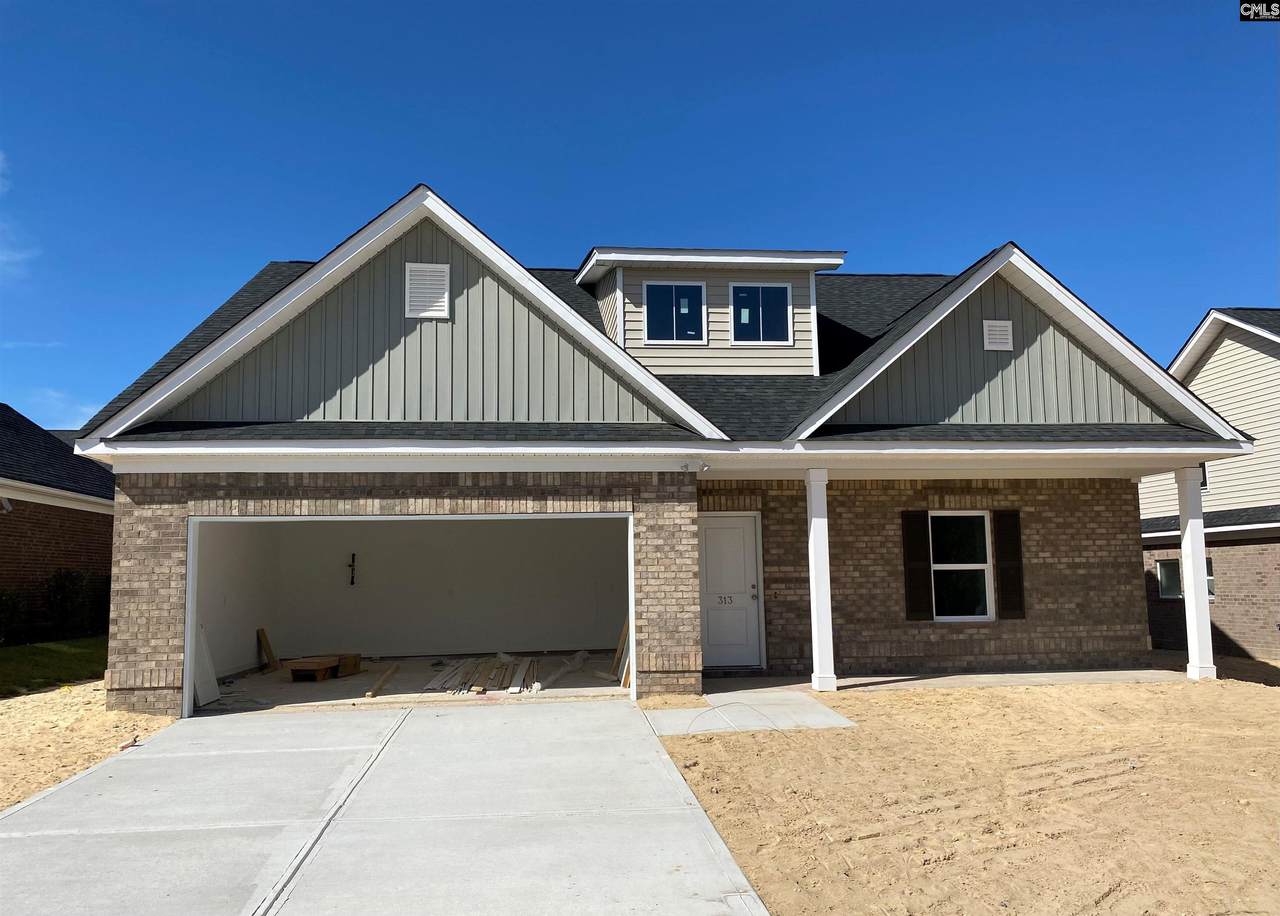 313 Dormie Lane - Photo 1