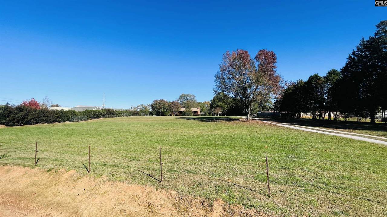 2808 Dreher Shoals Road - Photo 1