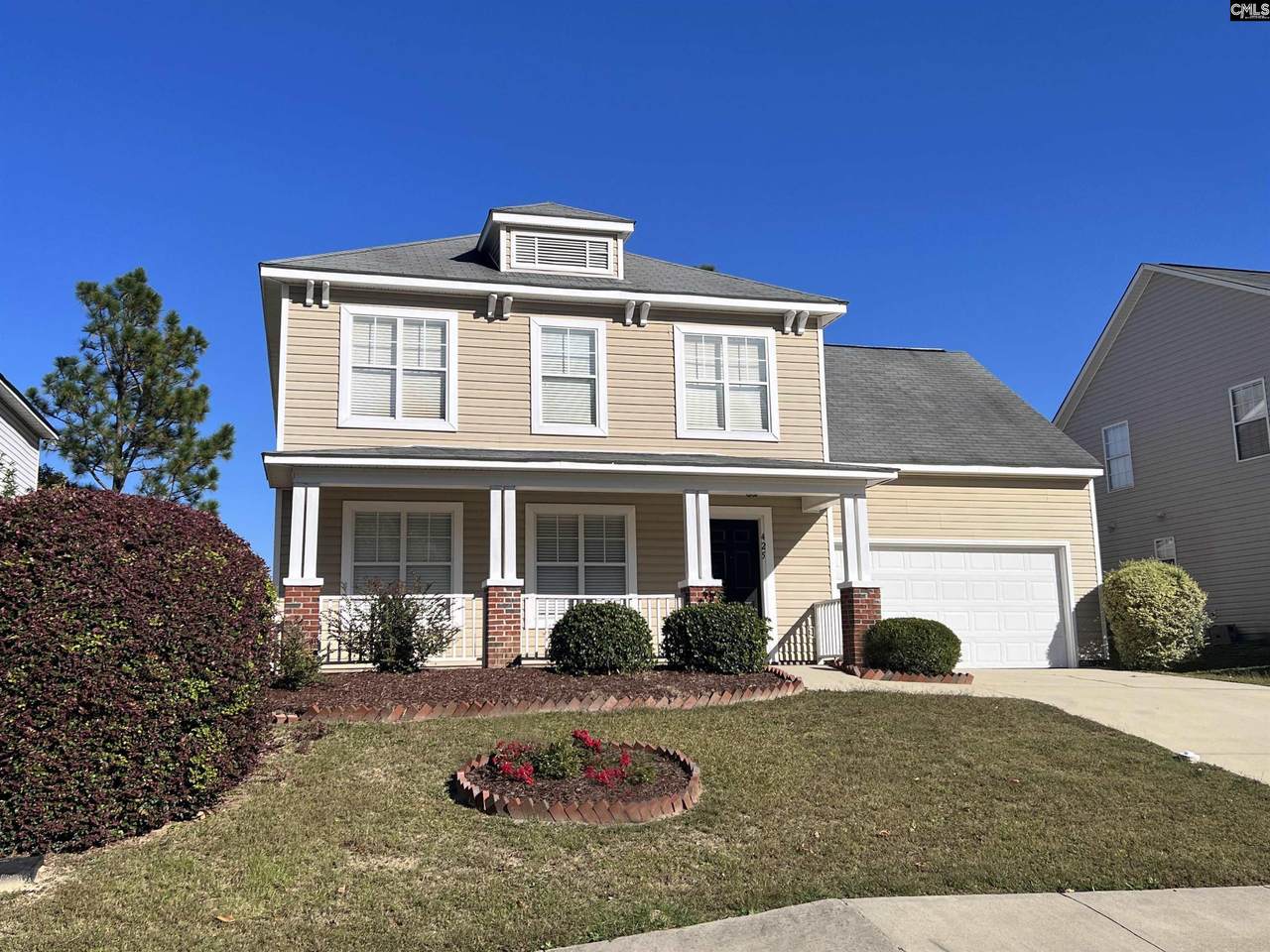 425 Robins Egg Drive - Photo 1