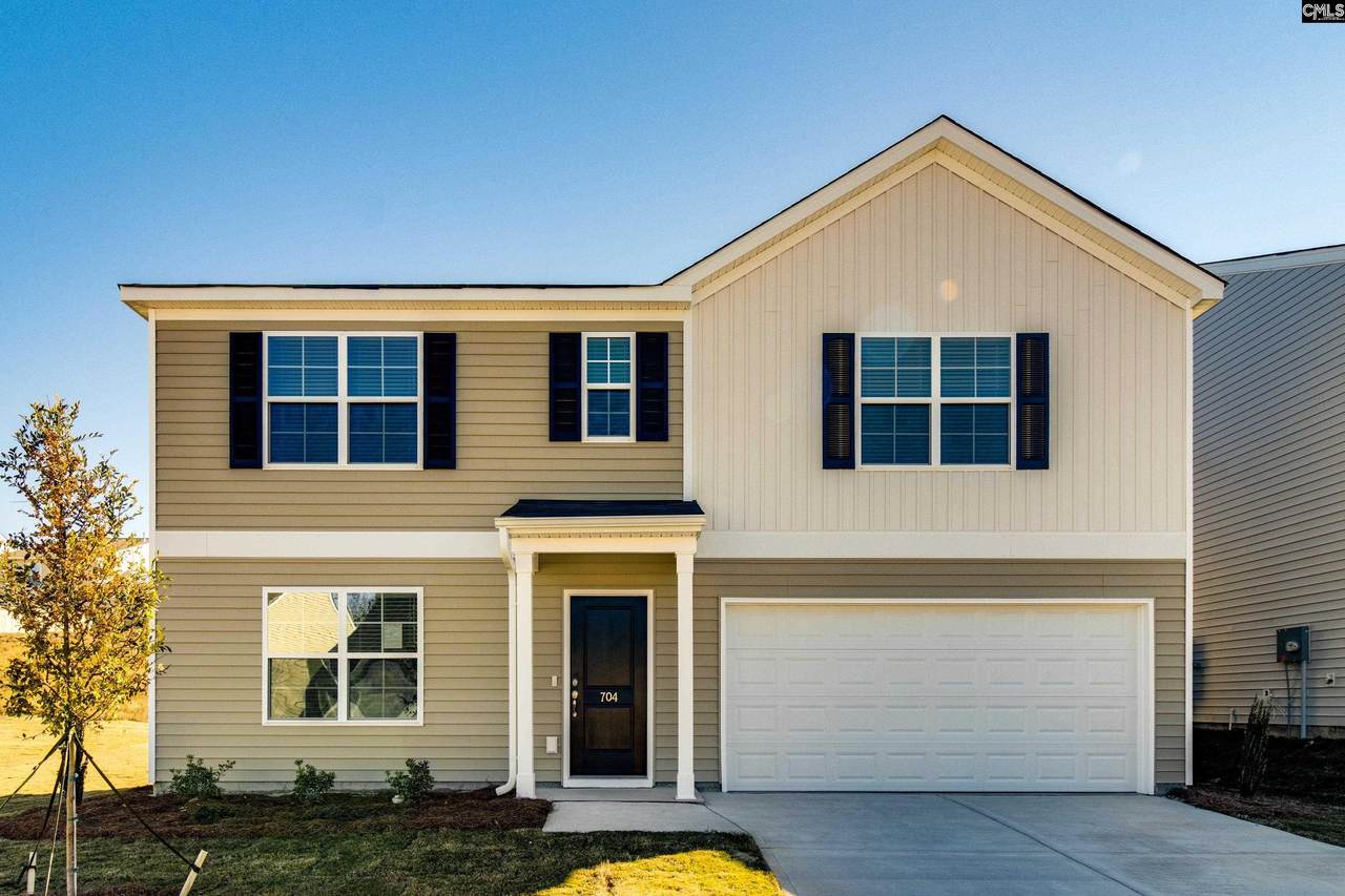 704 Pink Rose Lane - Photo 1