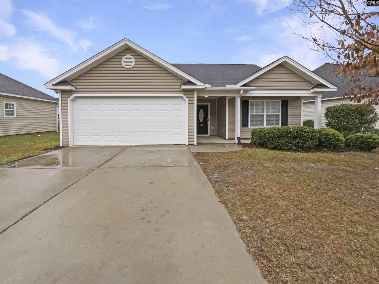 356 Colony Lakes Drive - Photo 1