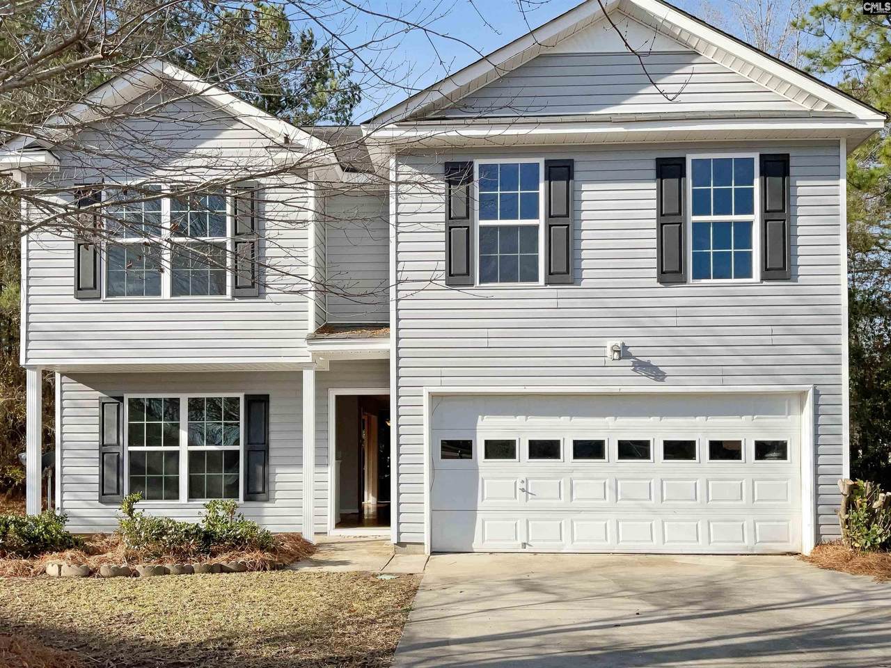 859 White Fawn Drive - Photo 1
