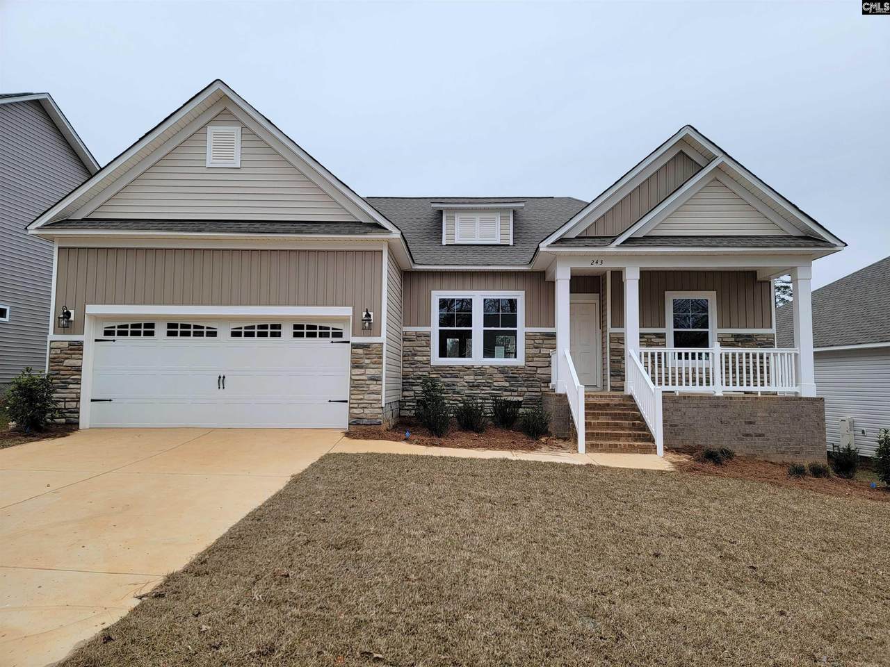 243 Doolittle Drive - Photo 1