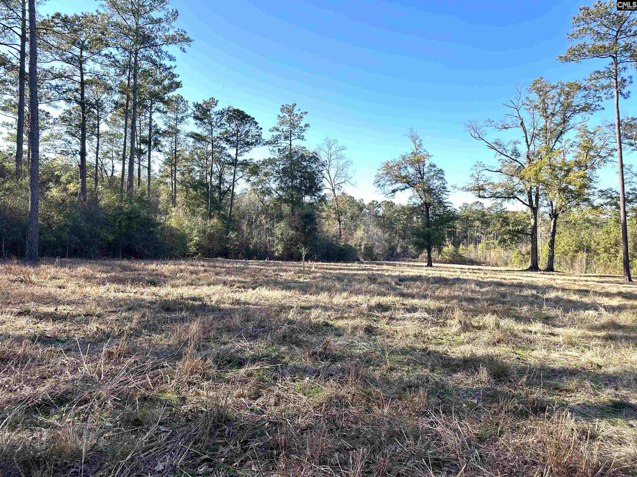1626 Sumter Highway - Photo 1