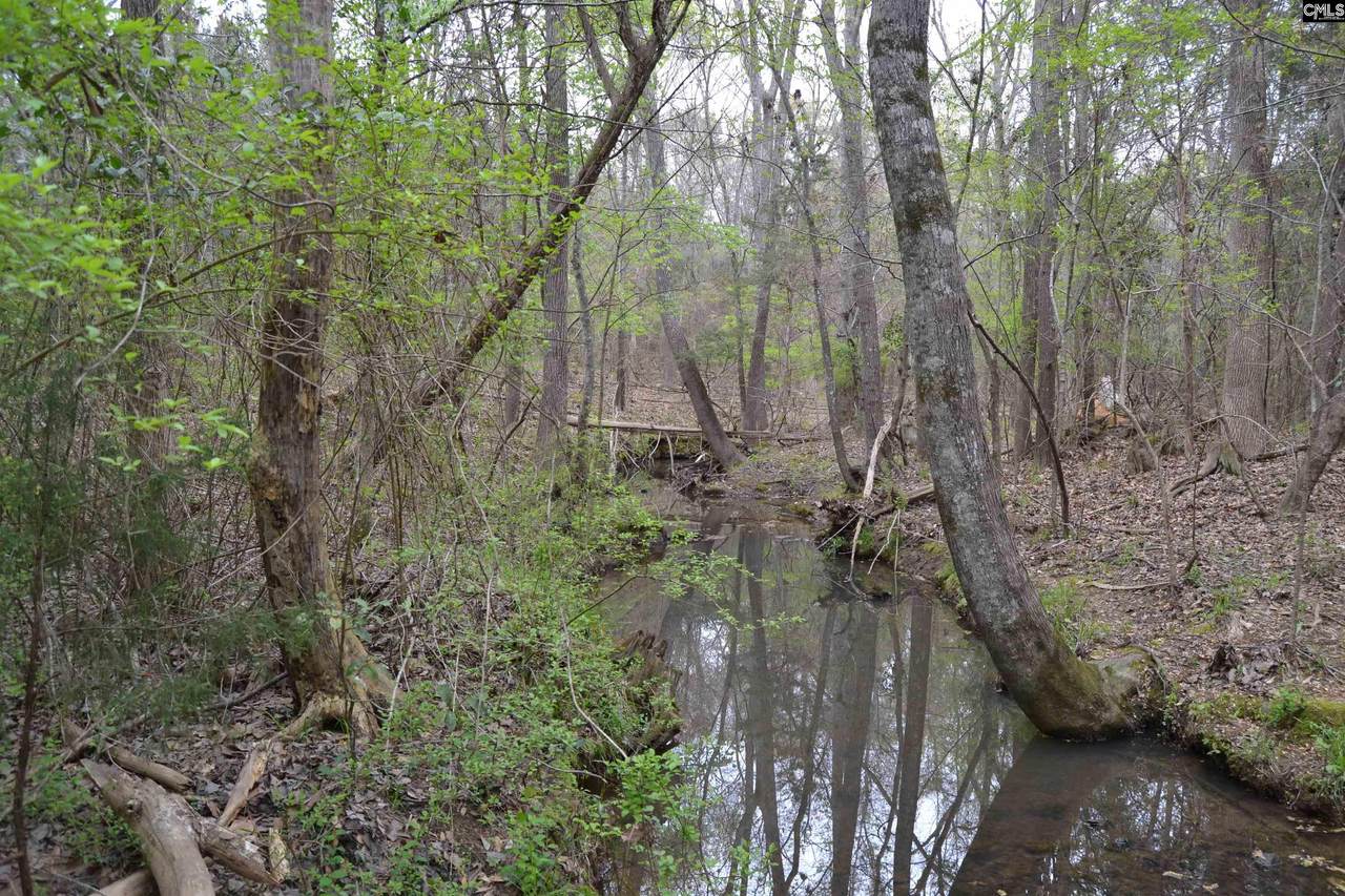 1309 Farming Creek Road - Photo 1