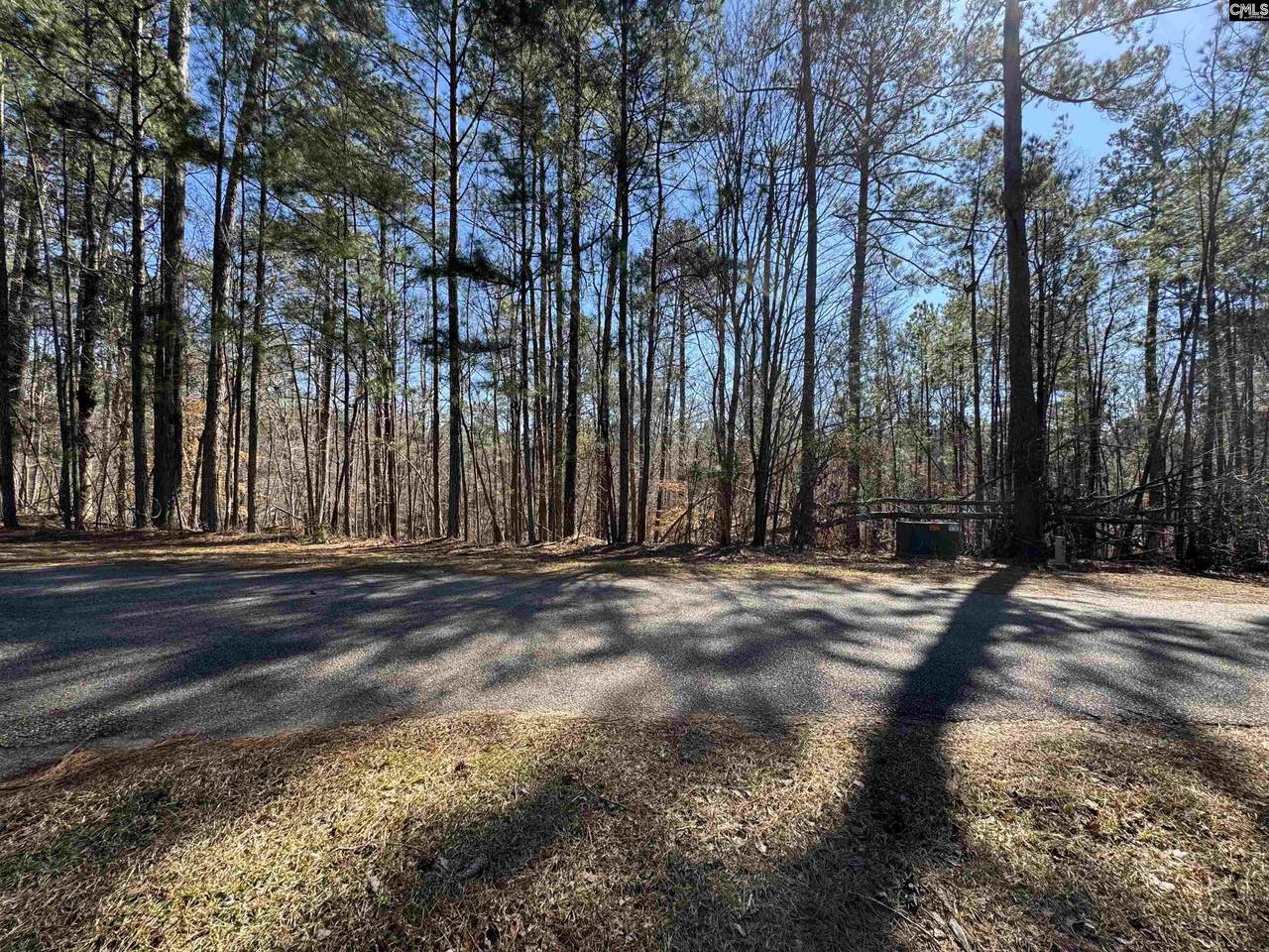 TBD Brandywine Dr - Photo 1