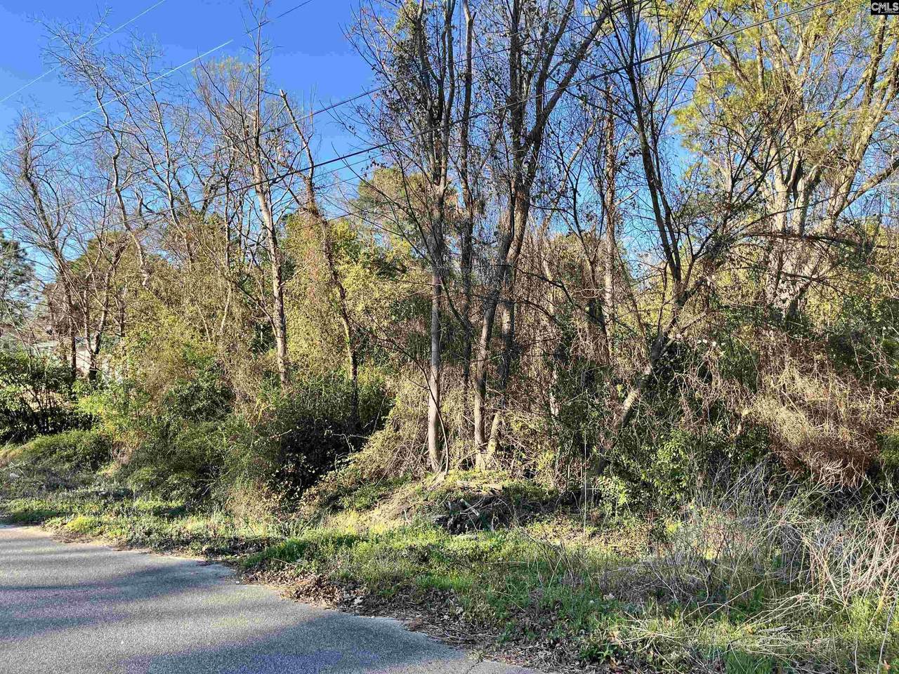 00 Greenleaf Road - Photo 1