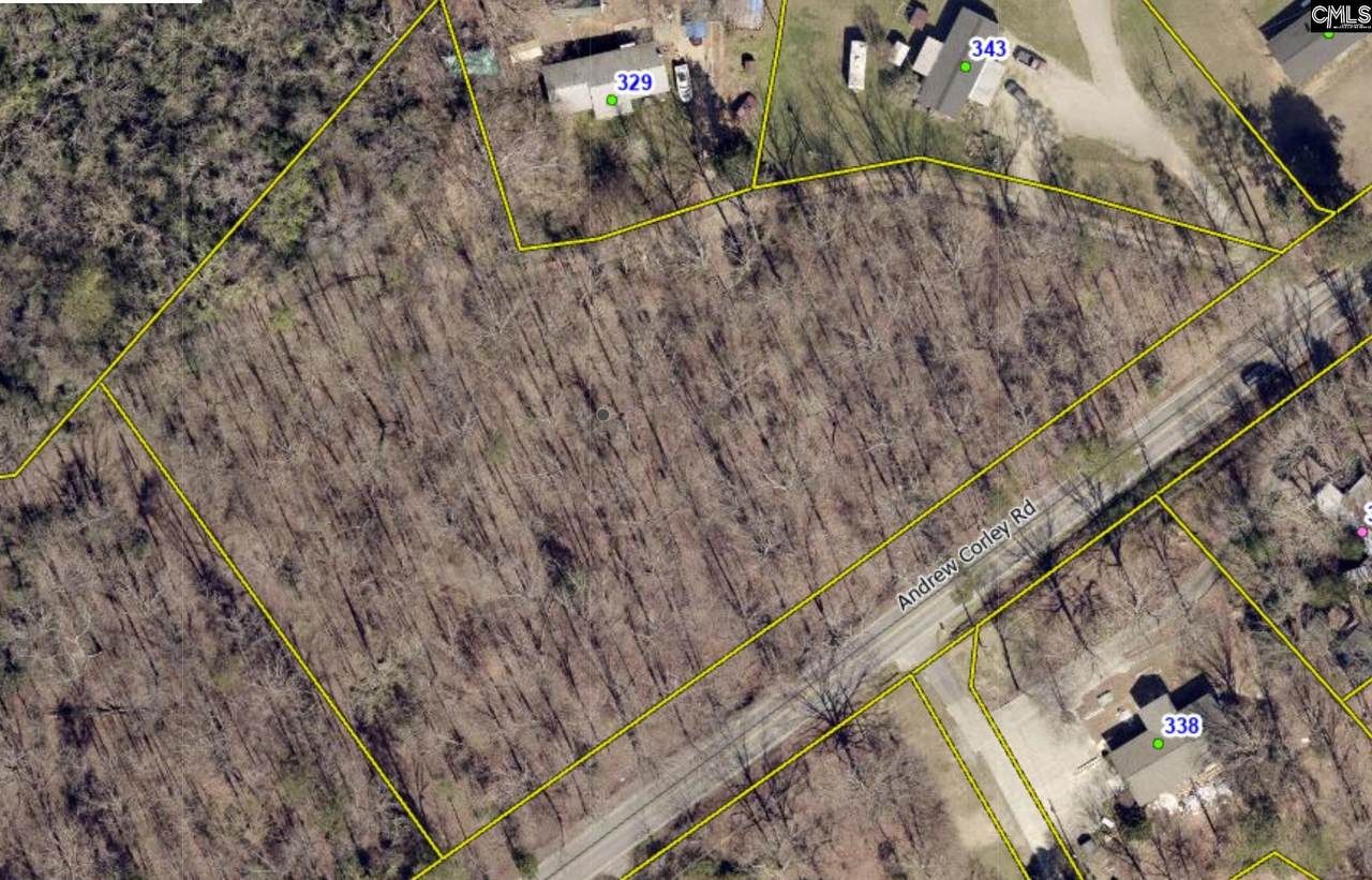 311 Andrew Corley Road - Photo 1