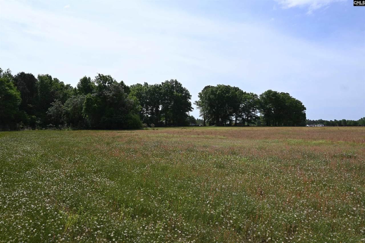 TBD Gallowaytown Road - Photo 1