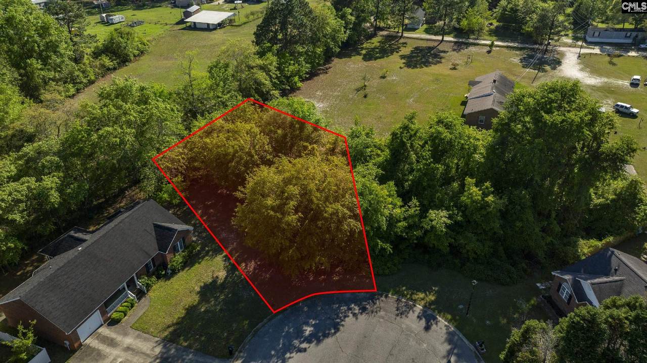 253 Cedar Hill Lane - Photo 1
