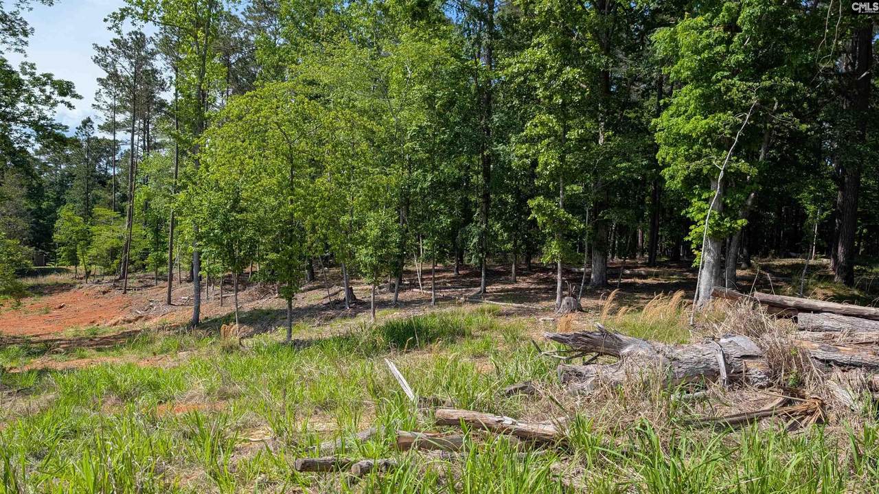 TBD Rolling Hills Rd - Photo 1