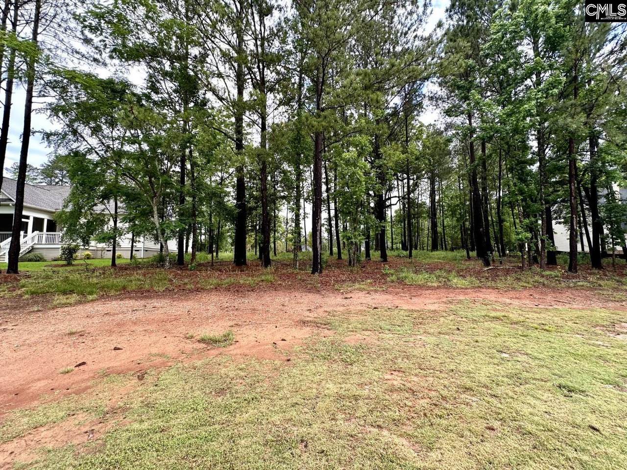513 Misty Banks Drive - Photo 1