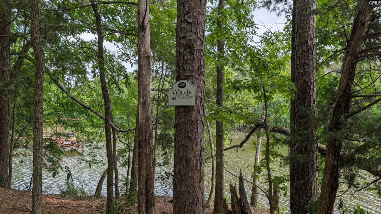 Lot 83 Retreat Way - Photo 1
