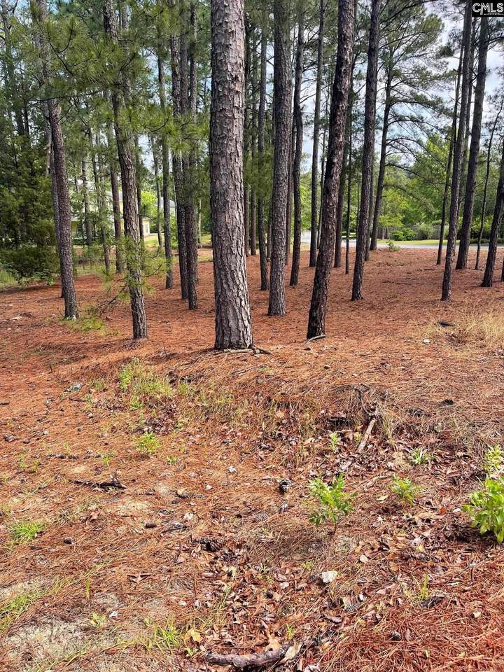 2233 Bee Ridge Road - Photo 1