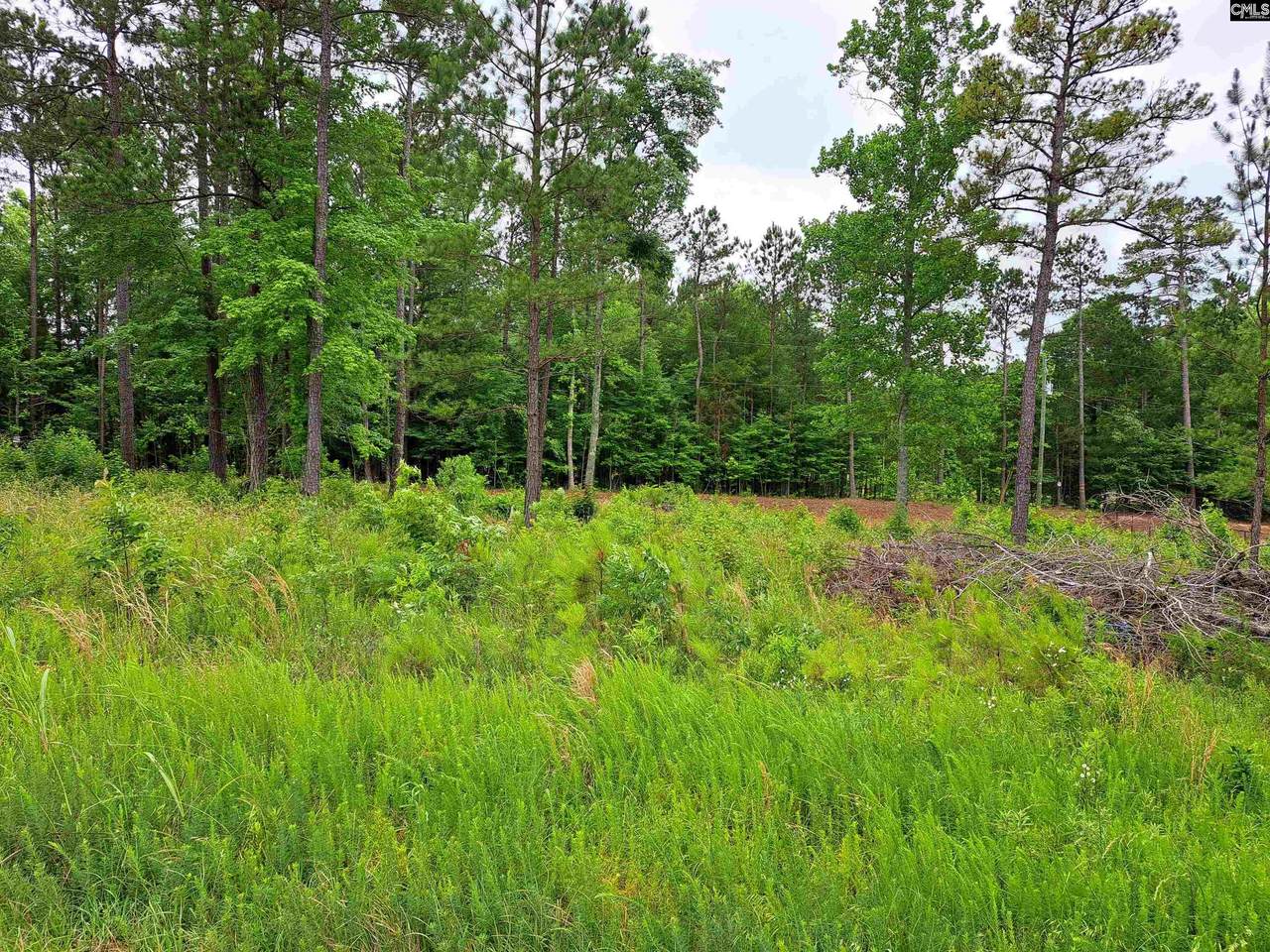 Lot #1 Longleaf Court - Photo 1