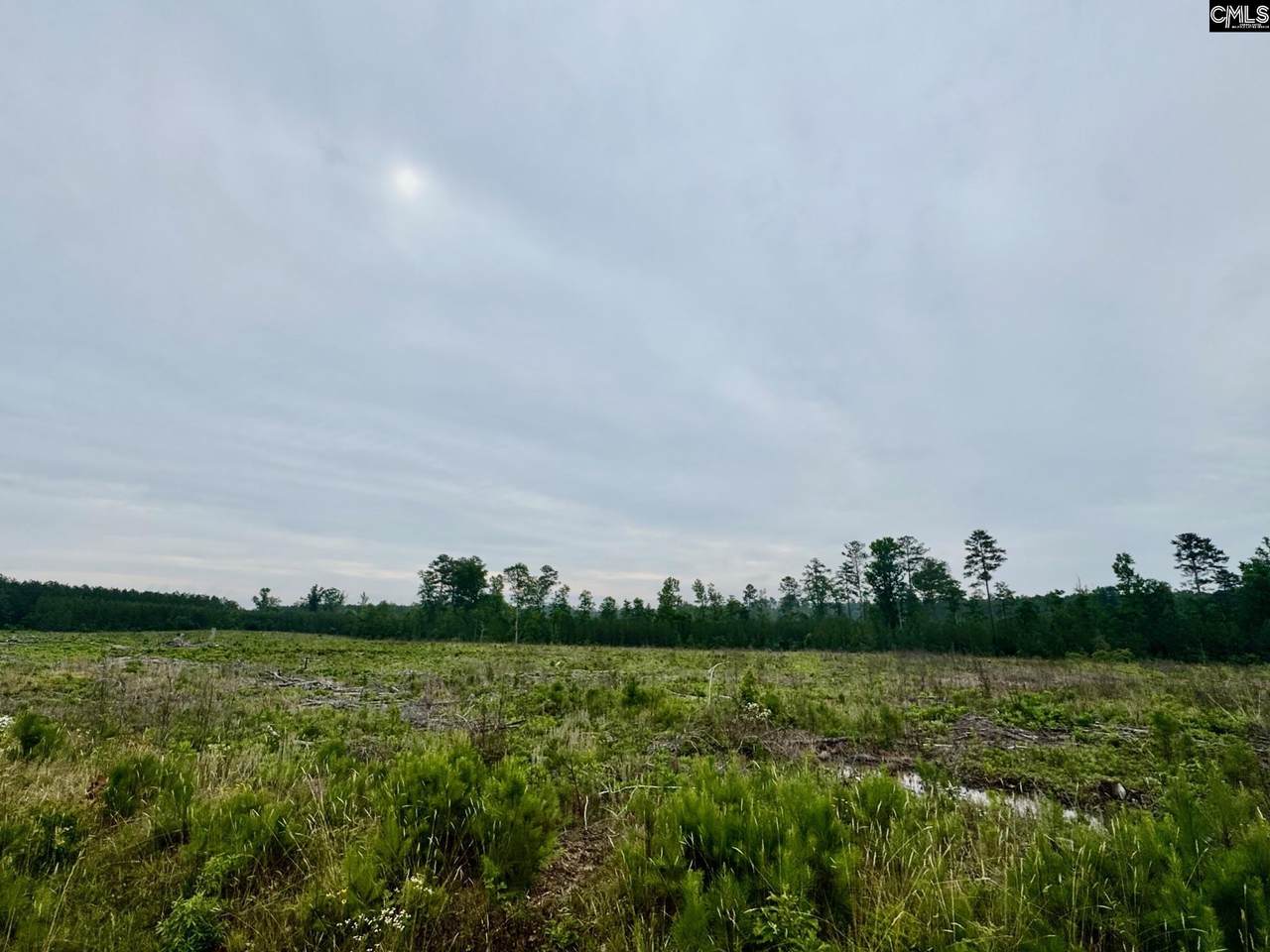 Ebb Mack Road - Photo 1