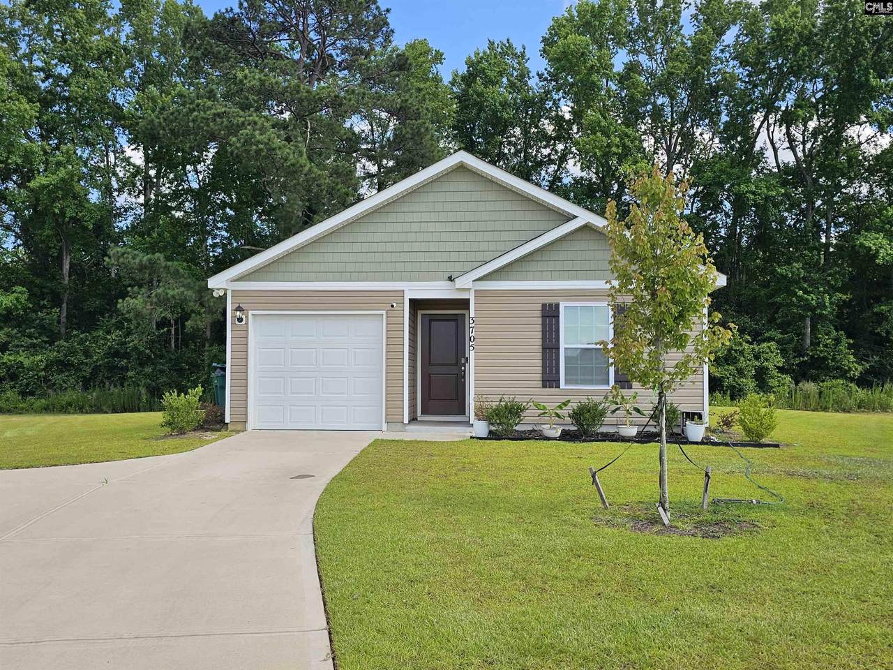 3705 Stallion Drive - Photo 1
