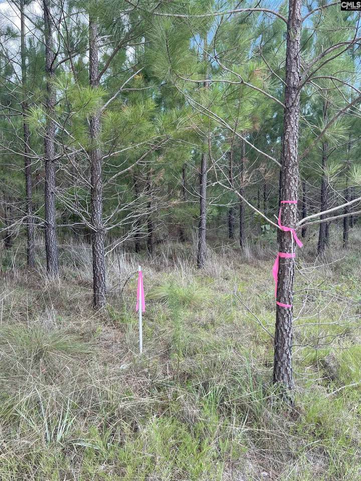 BFF 4 Brunson Teal Road Bff 4 - Photo 1