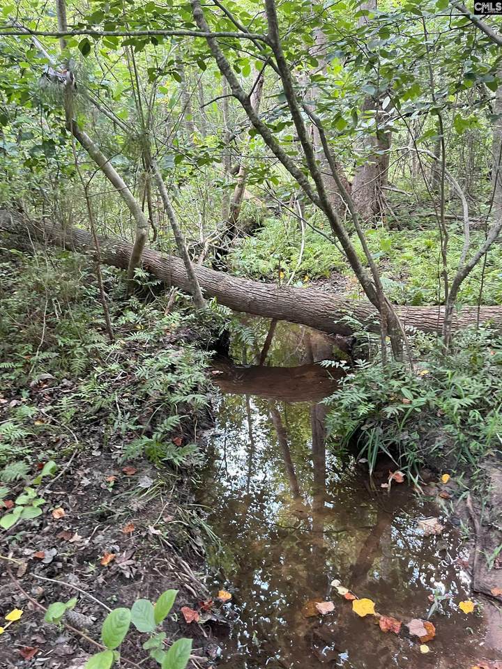 BFF 5 Brunson Teal Road Bff 5 - Photo 1