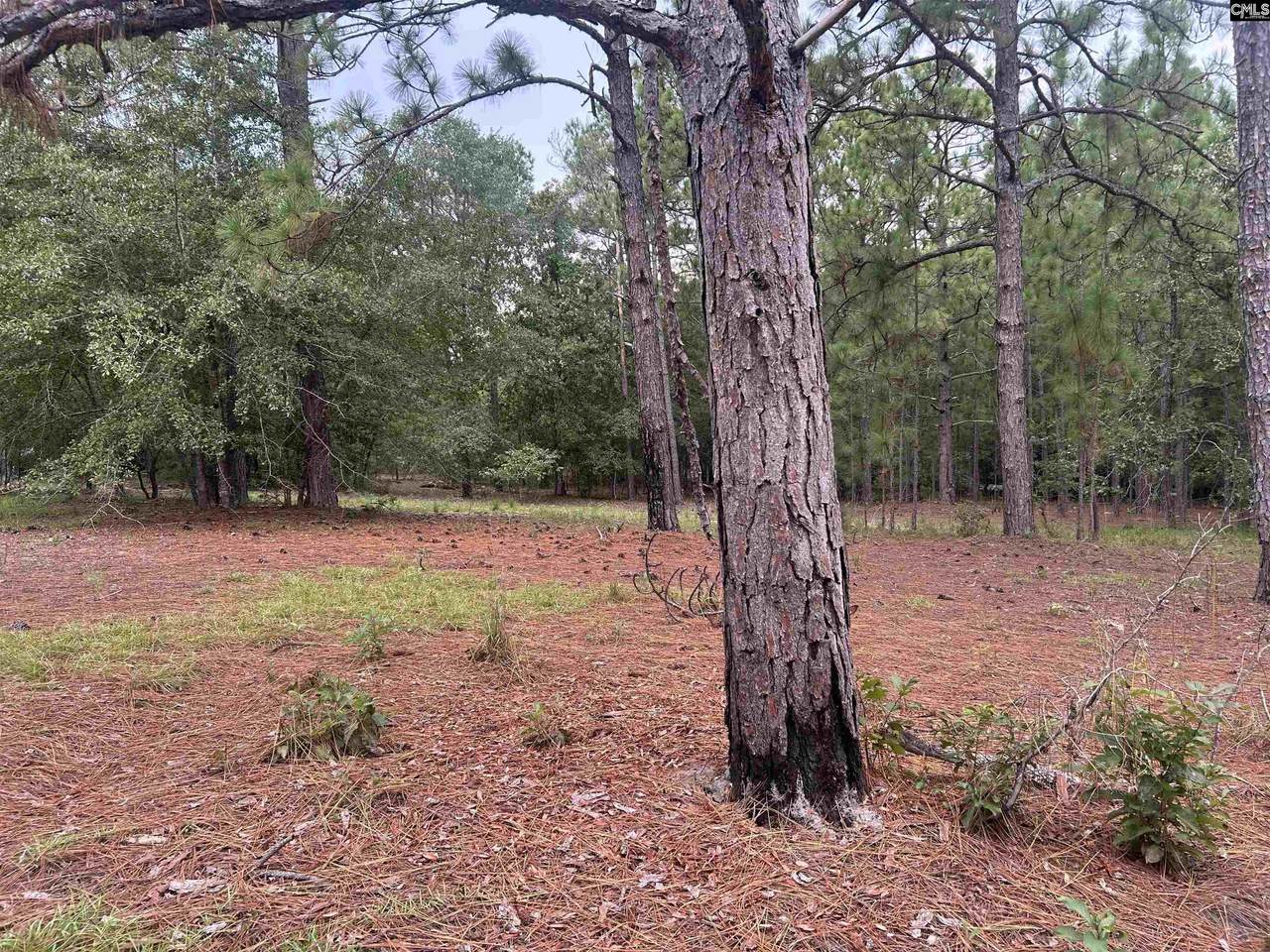 1100 Lassiter Jacobs Road - Photo 1