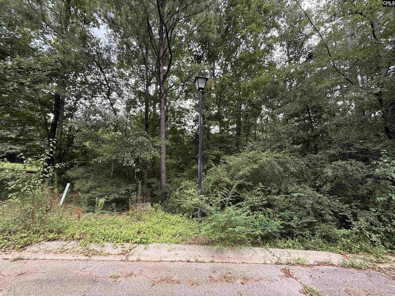 TBD Timberlane Drive - Photo 1