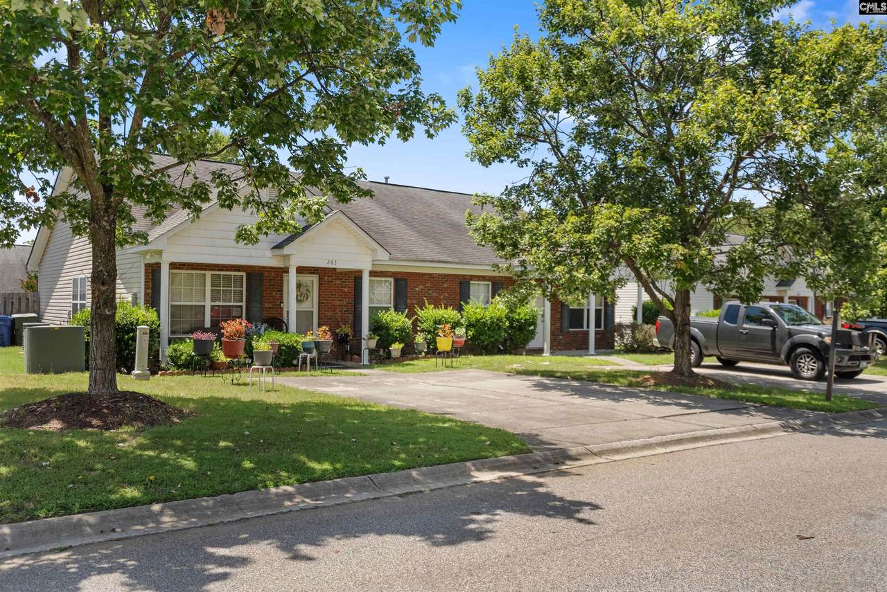 263 Blue Savannah Street - Photo 1