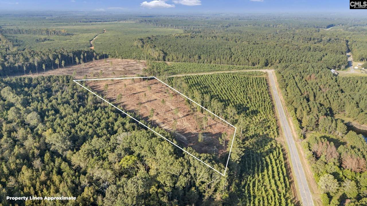 0 Fruit Hill Road - Photo 1