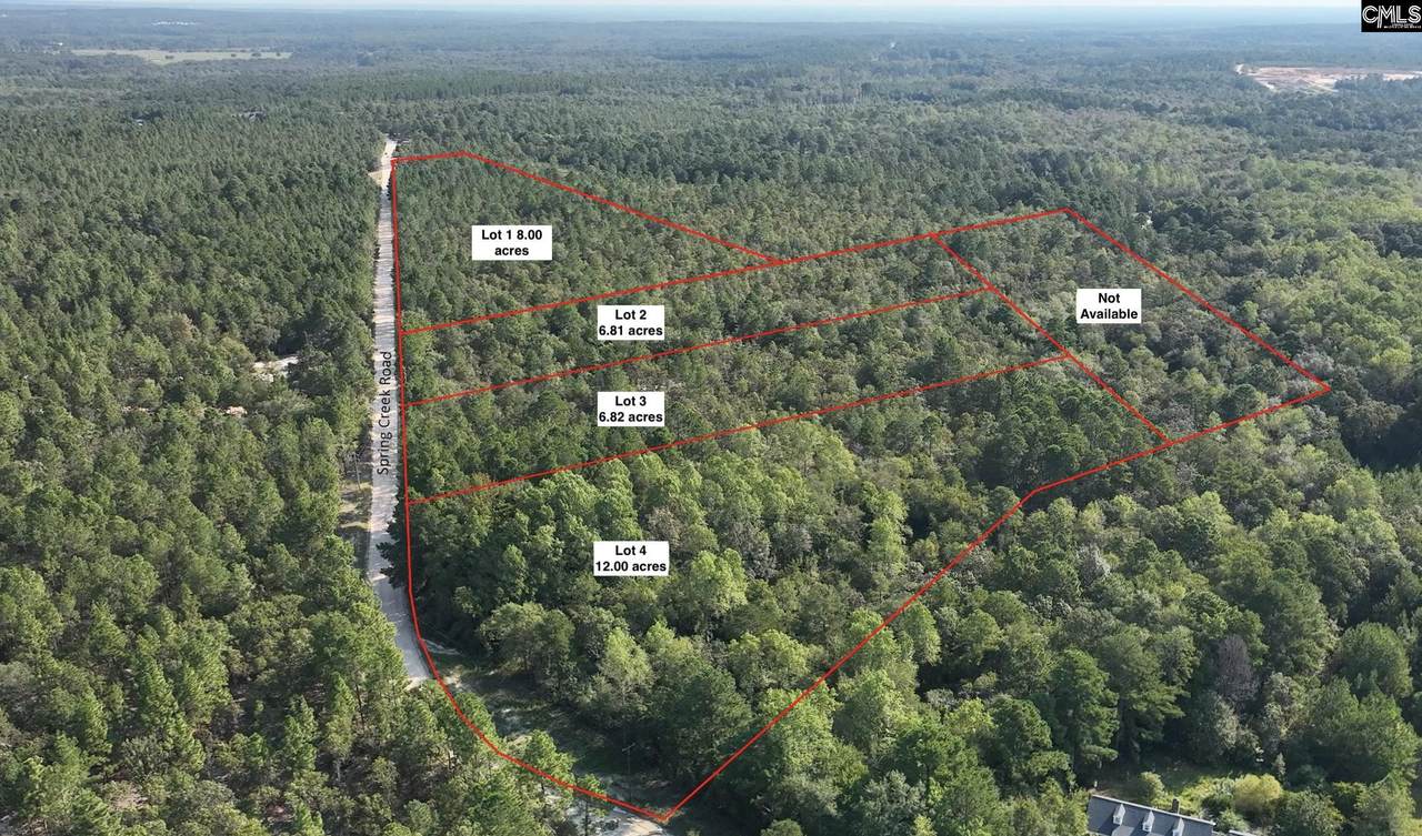 TBD Lot 1 Spring Creek Road - Photo 1