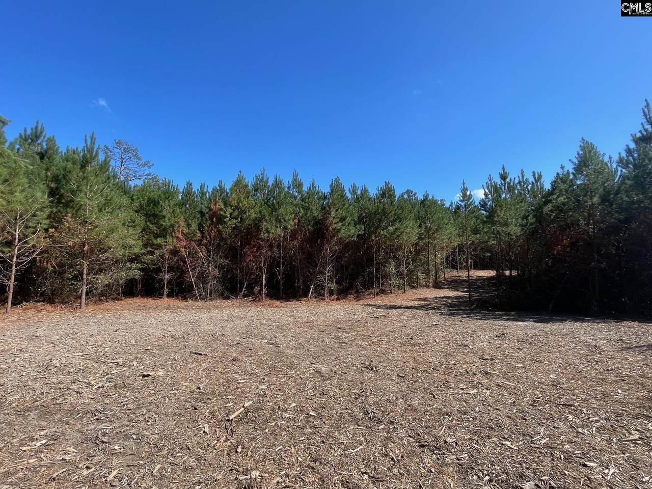 1938 Old Georgetown Road - Photo 1