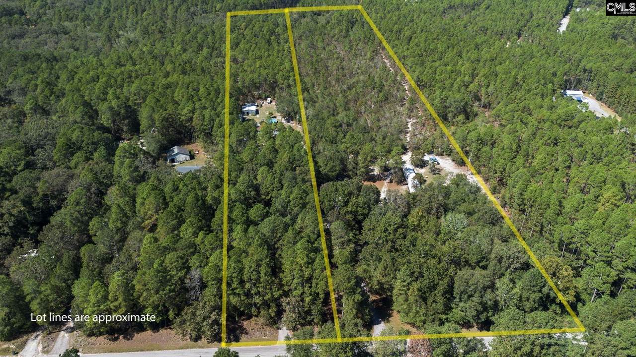 7044 And 7038 Platt Springs Road - Photo 1