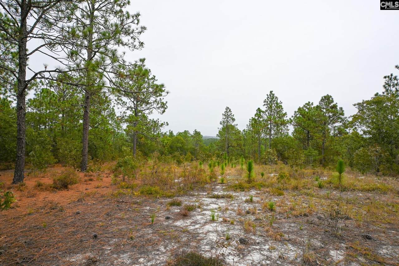 113 Longview Street - Photo 1