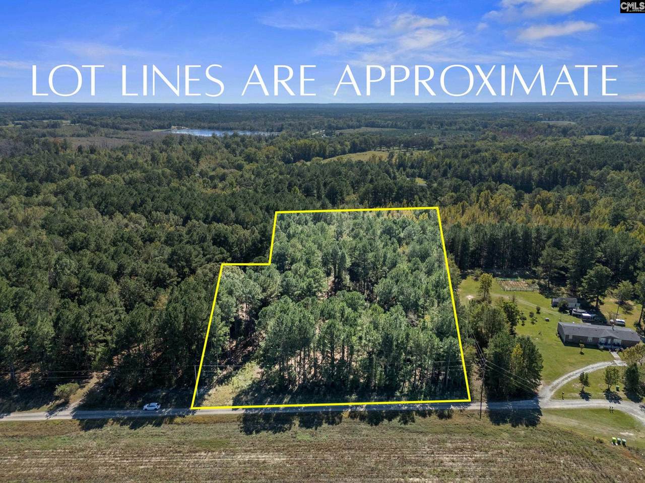 155 Pearlott Lane - Photo 1