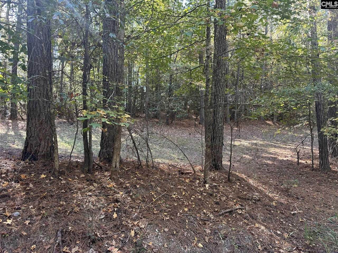 00 Douglas Road - Photo 1