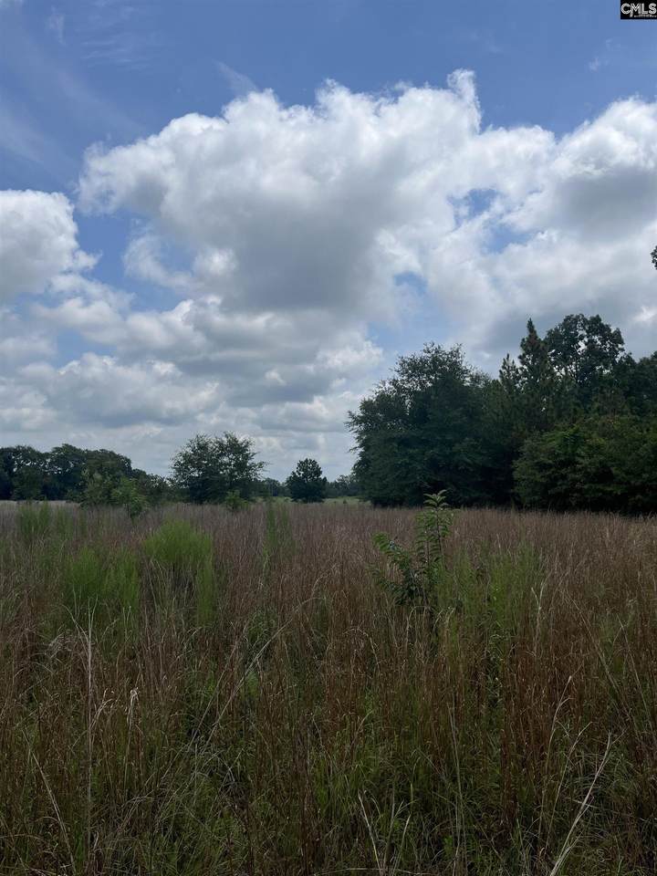 BH 1 Boise Cascade Road Bh 1 - Photo 1