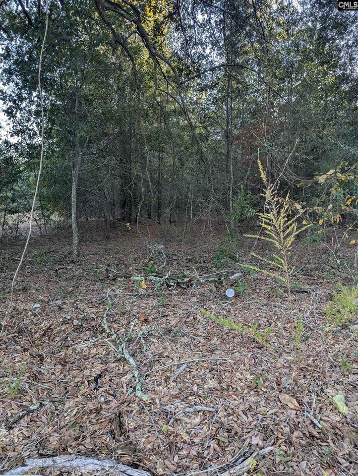 45 Fletcher Drive - Photo 1