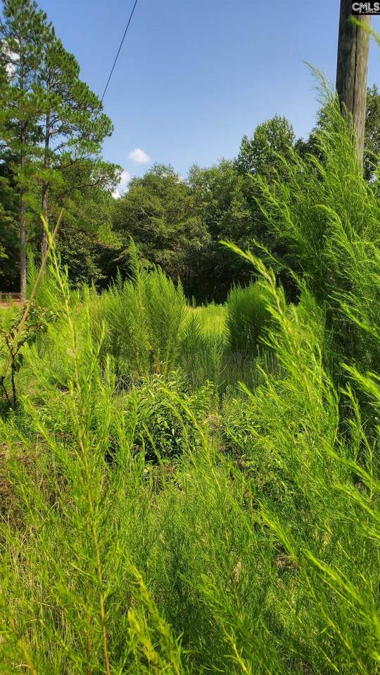 Ardis Road - Photo 1