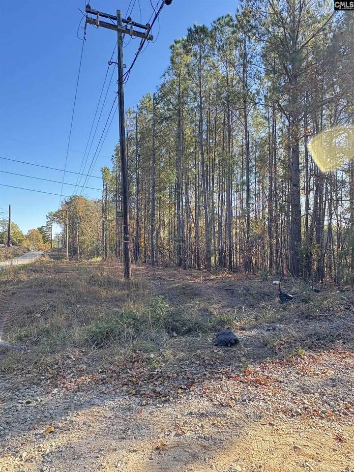 1236 Crane Church Road - Photo 1
