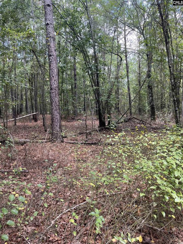 BHL 6 Boise Cascade Road Bhl 6 - Photo 1