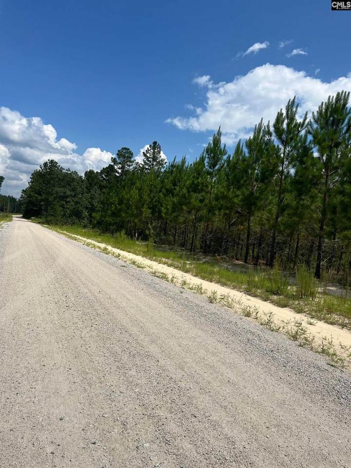 BFF 1A Jc Barefoot Road Bff 1A - Photo 1