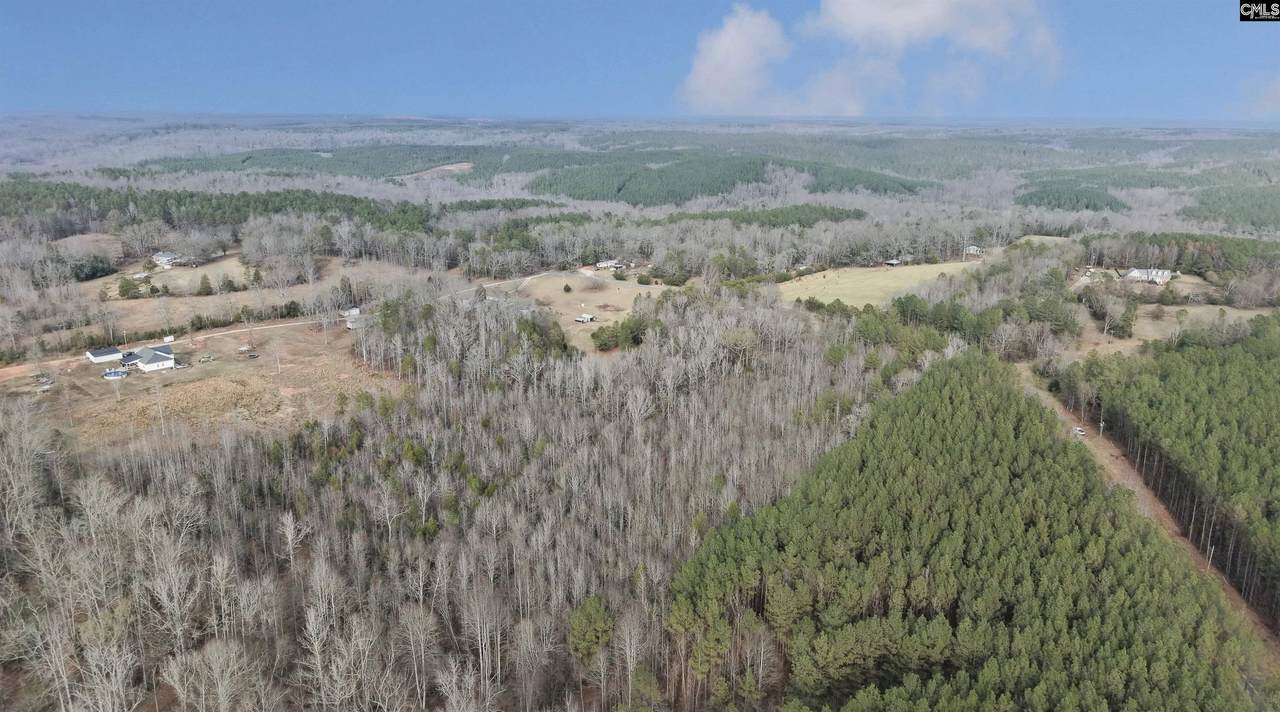 428 Horseshoe Road - Photo 1