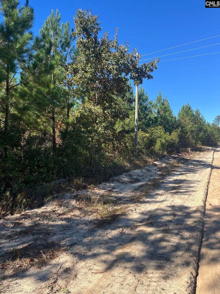 BFF 1D Jc Barefoot Road Bff 1D - Photo 1