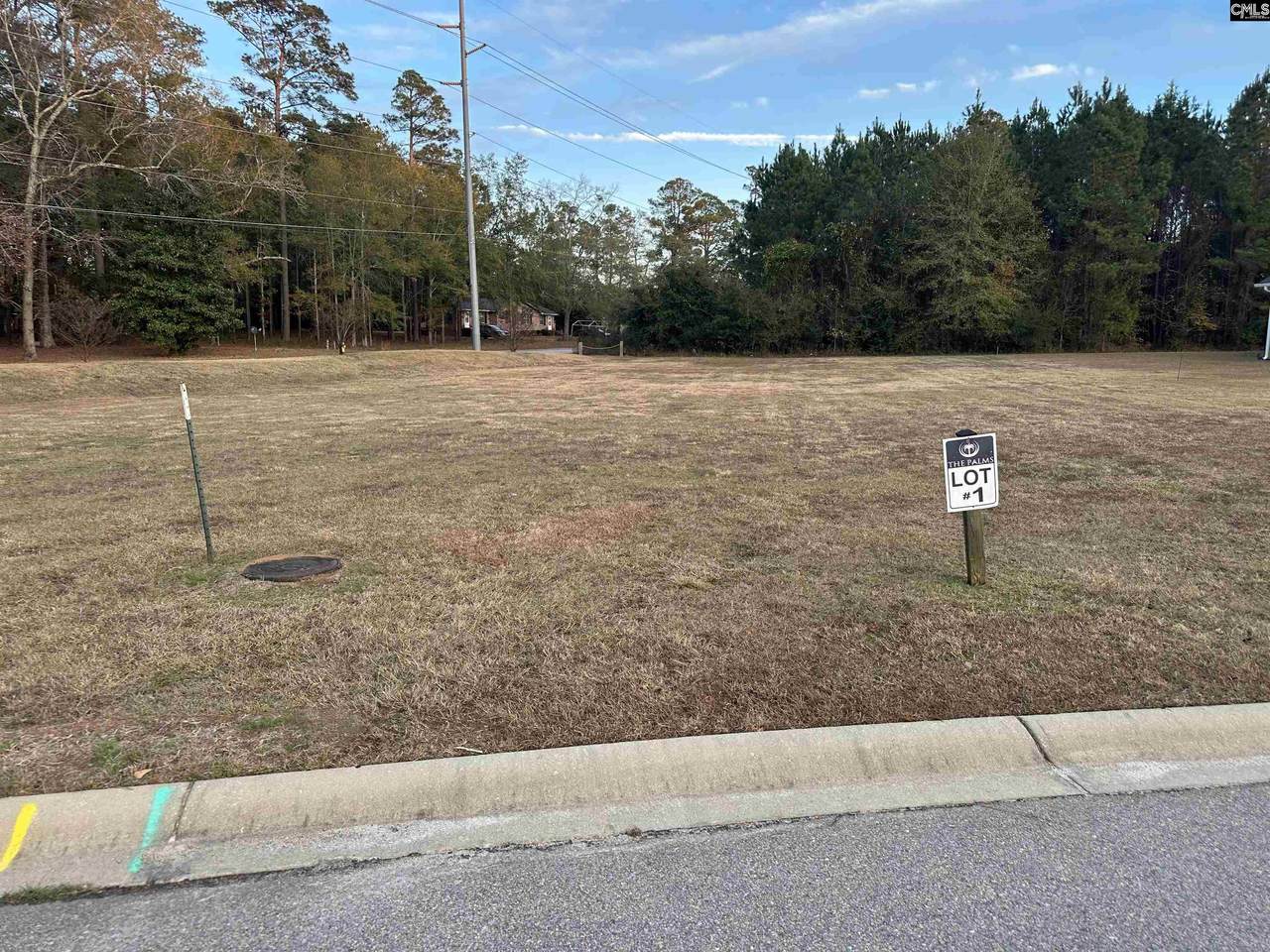 111 Sago Palm Drive - Photo 1